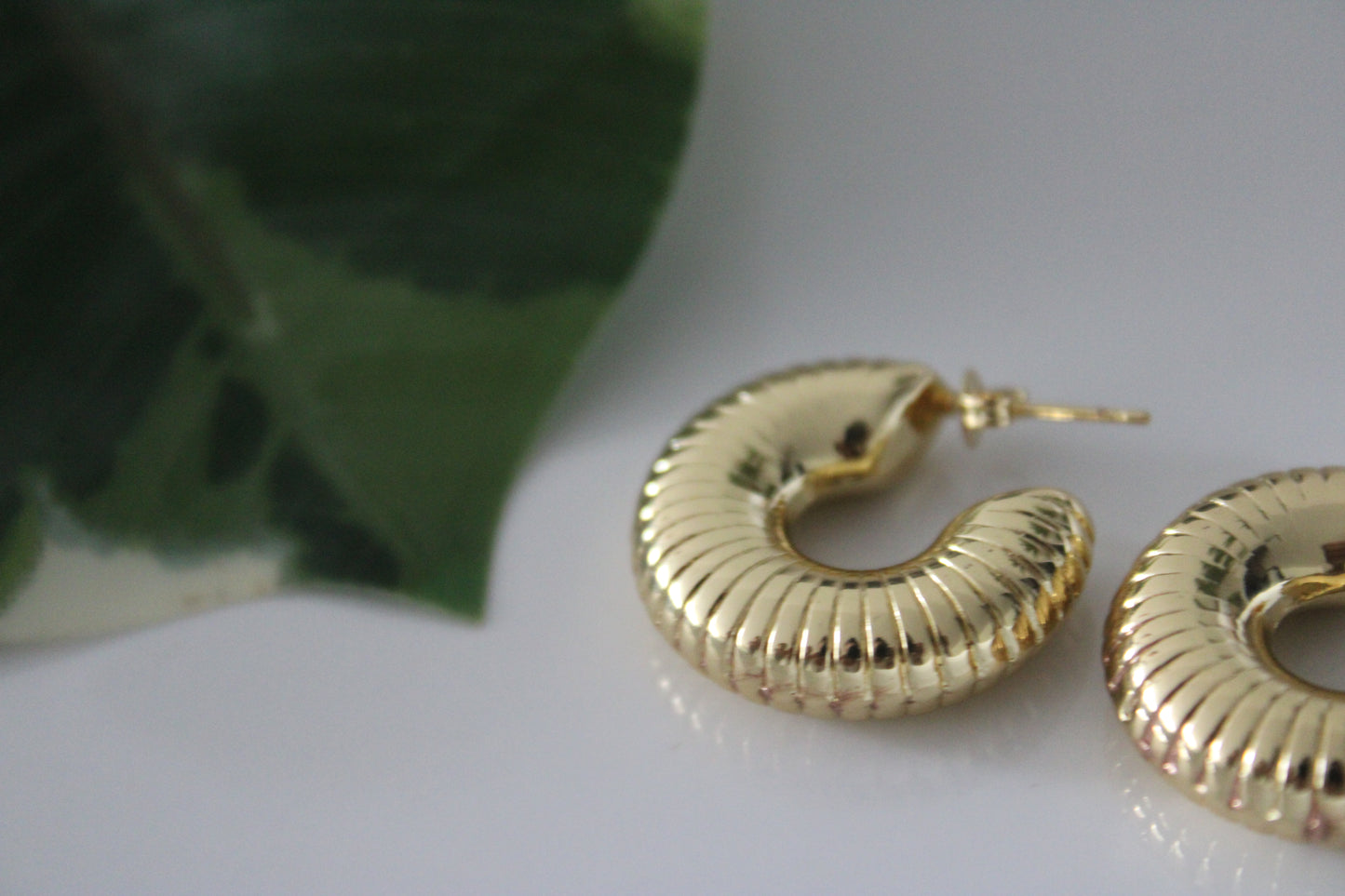 Ocean Earrings